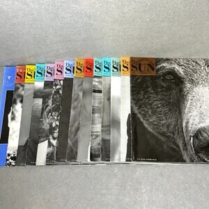 The Sun Magazine Mixed Lot 18 Range 1998-2018 Personal Political Provocative